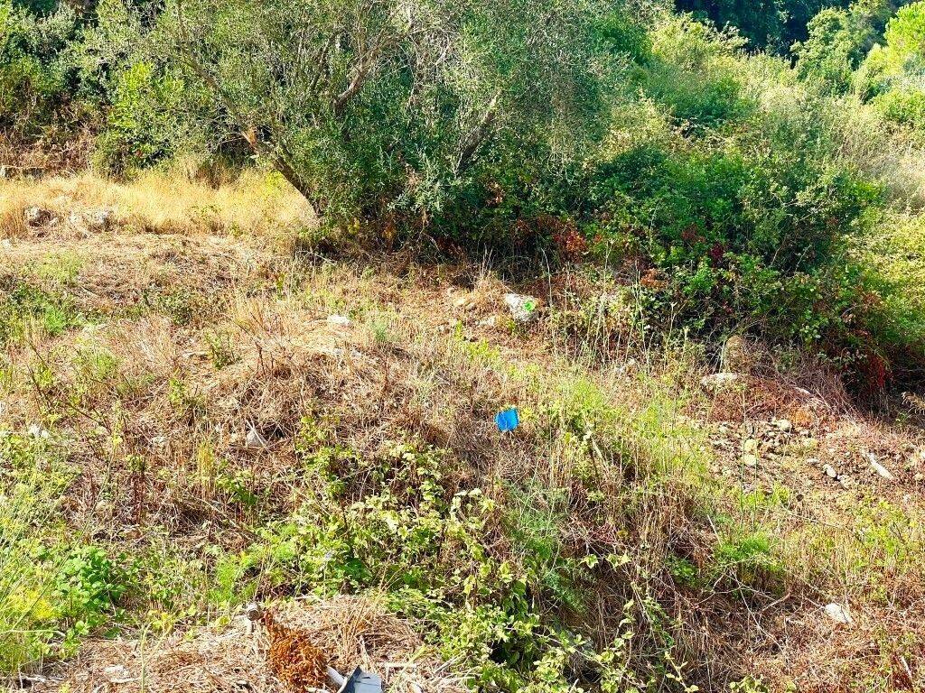 Plot - Grekodom 64097|1009548