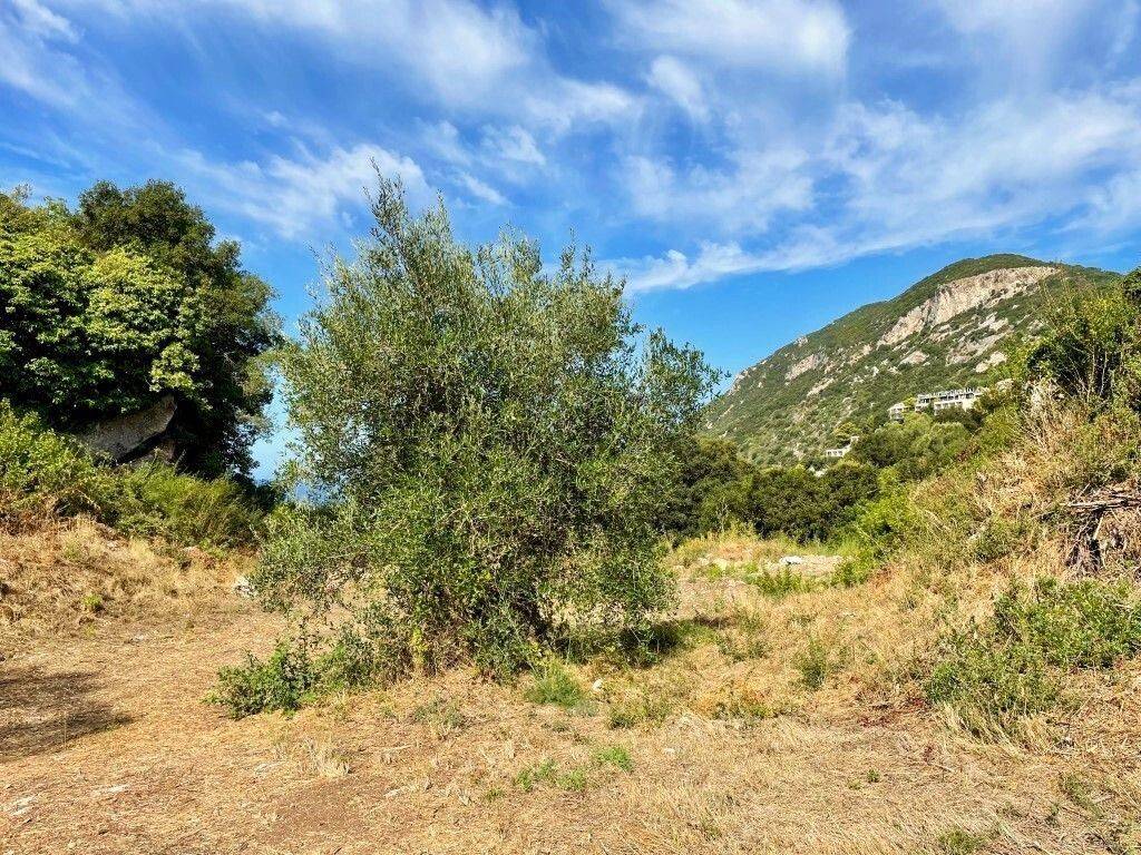 Plot - Grekodom 64097|1009549