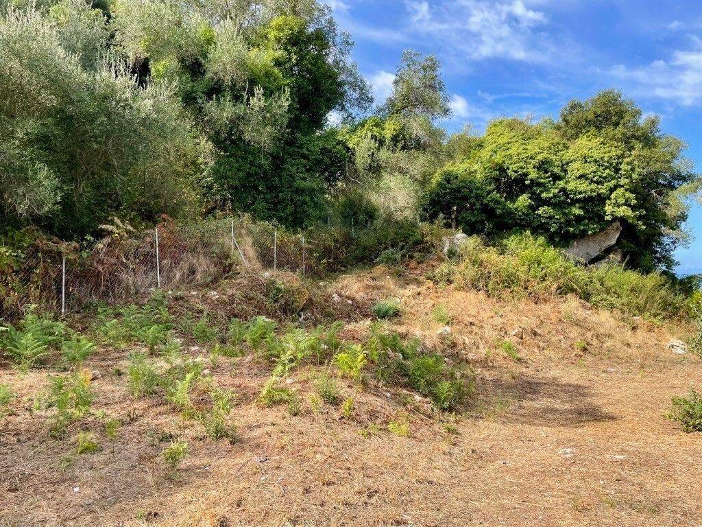 Plot - Grekodom 64097|1009550