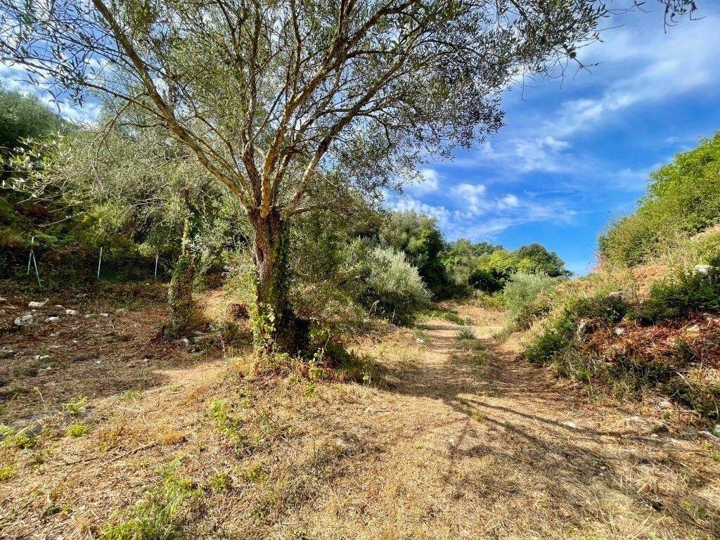 Plot - Grekodom 64097|1009551