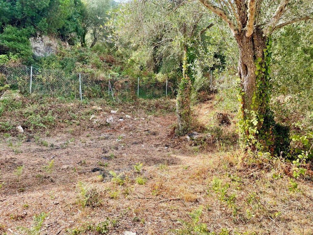 Plot - Grekodom 64097|1009552