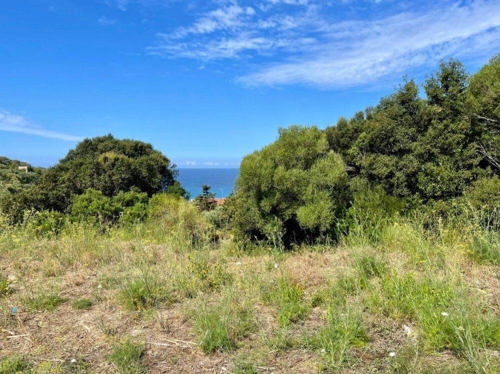 Plot - Grekodom 64097|1009553