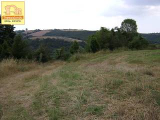 Τρίλοφος, Αγροτεμάχιο, 47.159 τ.μ.