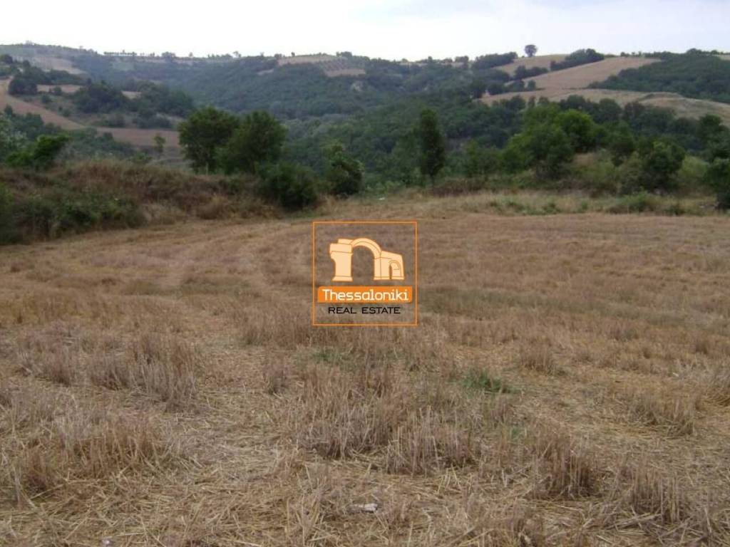 Τρίλοφος, Αγροτεμάχιο, 47.159 τ.μ.