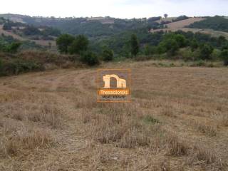 Τρίλοφος, Αγροτεμάχιο, 47.159 τ.μ.