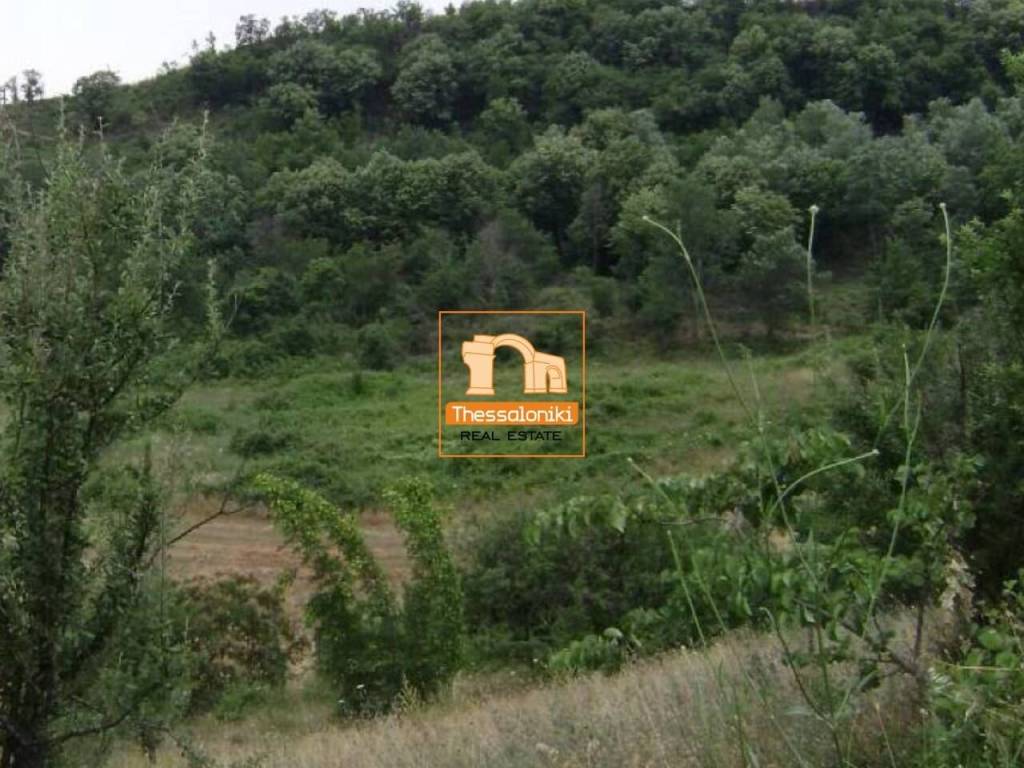 Τρίλοφος, Αγροτεμάχιο, 47.159 τ.μ.