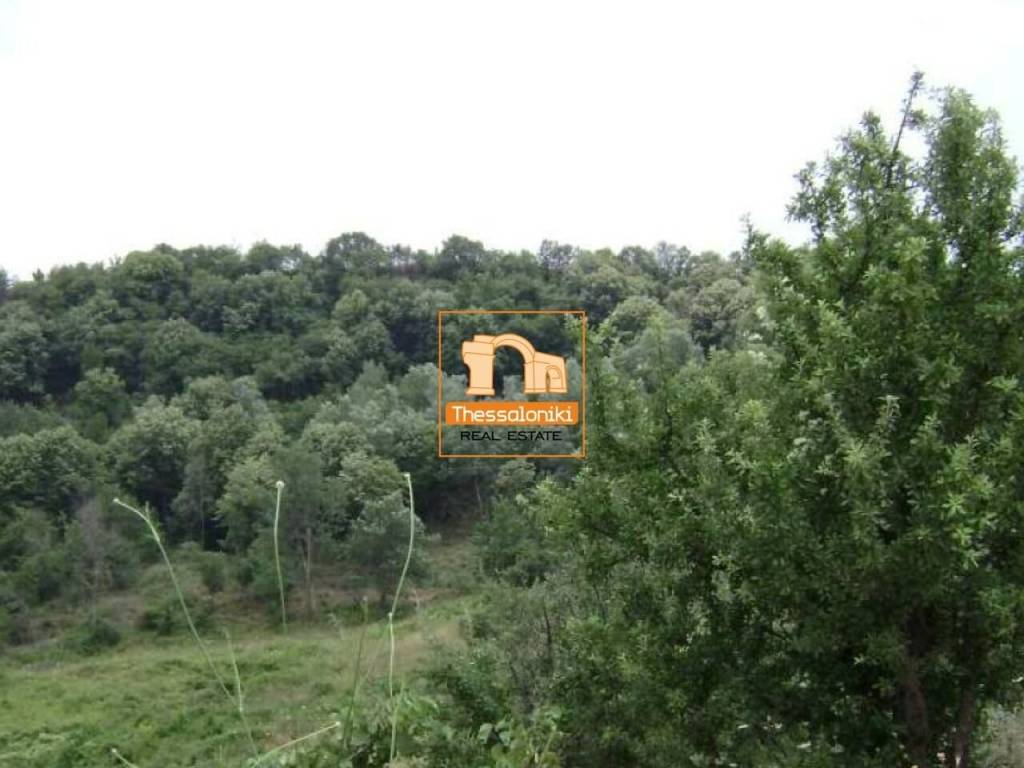 Τρίλοφος, Αγροτεμάχιο, 47.159 τ.μ.