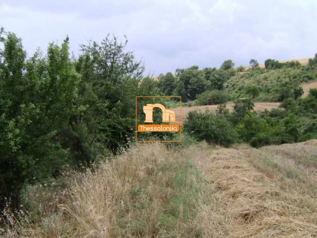 Τρίλοφος, Αγροτεμάχιο, 47.159 τ.μ.