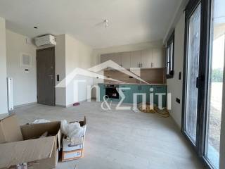 Σαλοκουζίνα