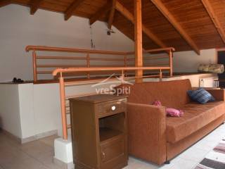 ΕΝΙΑΙΟΣ ΧΩΡΟΣ ΟΙΚΙΑΣ