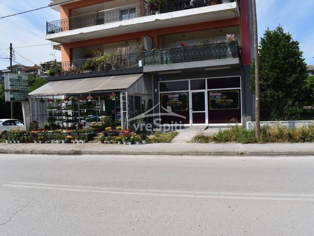 ΑΠΟΨΗ ΚΑΤΑΣΤΗΜΑΤΟΣ