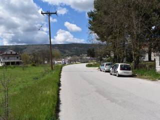 ΕΞΩΤΕΡΙΚΗ ΑΠΟΨΗ ΚΑΤΑΣΤΗΜΑΤΟΣ