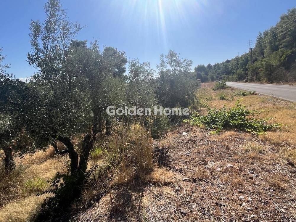 Εξωτερικός Χώρος