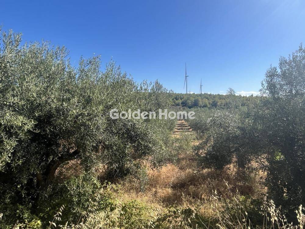 Εξωτερικός Χώρος