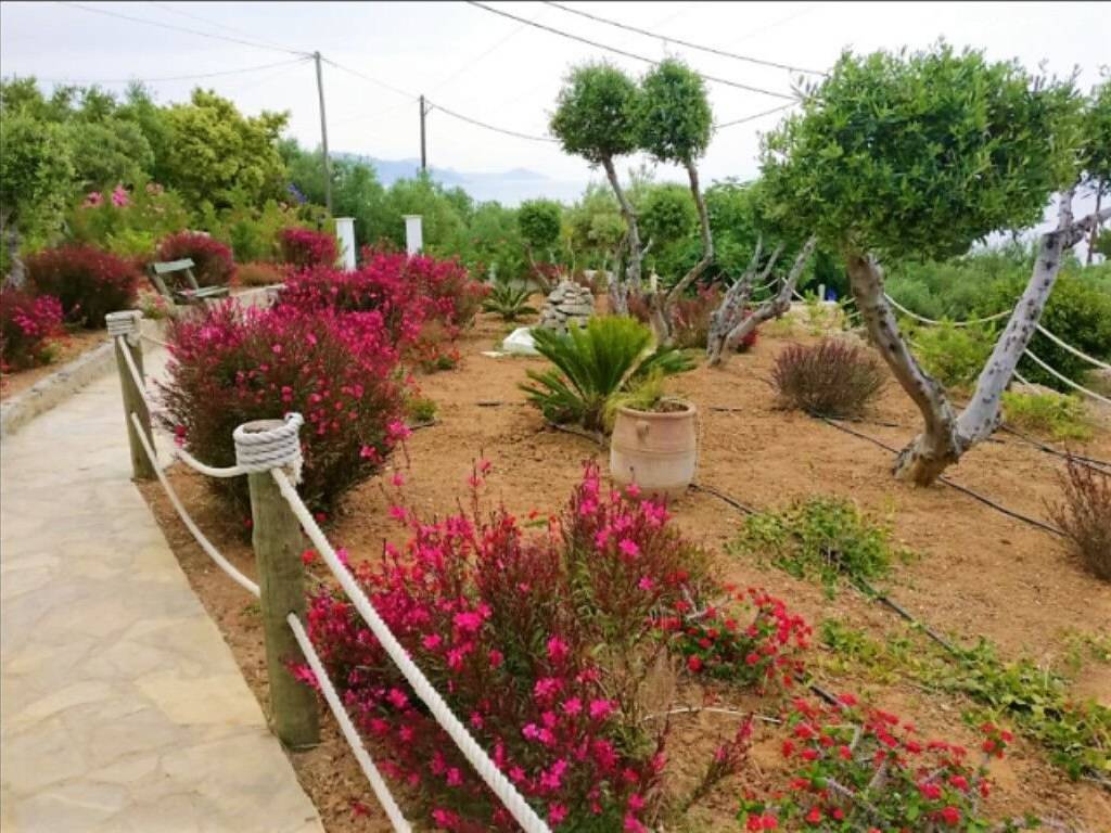 Villa - Grekodom 46854|680751