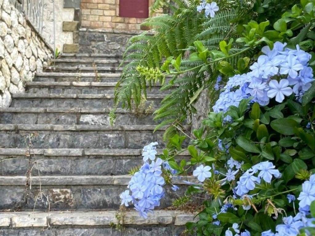 Villa - Grekodom 54574|987838