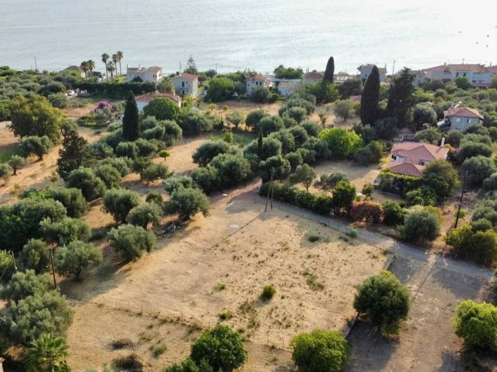 ΤΟ ΟΙΚΟΠΕΔΟ ΑΠΕΧΕΙ ΛΙΓΑ ΒΗΜΑΤΑ ΑΠΟ ΤΗΝ ΠΑΡΑΛΙΑ