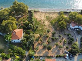 ΟΙΚΟΠΕΔΟ 2.600 Τ.Μ.