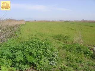 Άγιος Αθανάσιος, Αγροτεμάχιο, 8.257 τ.μ.