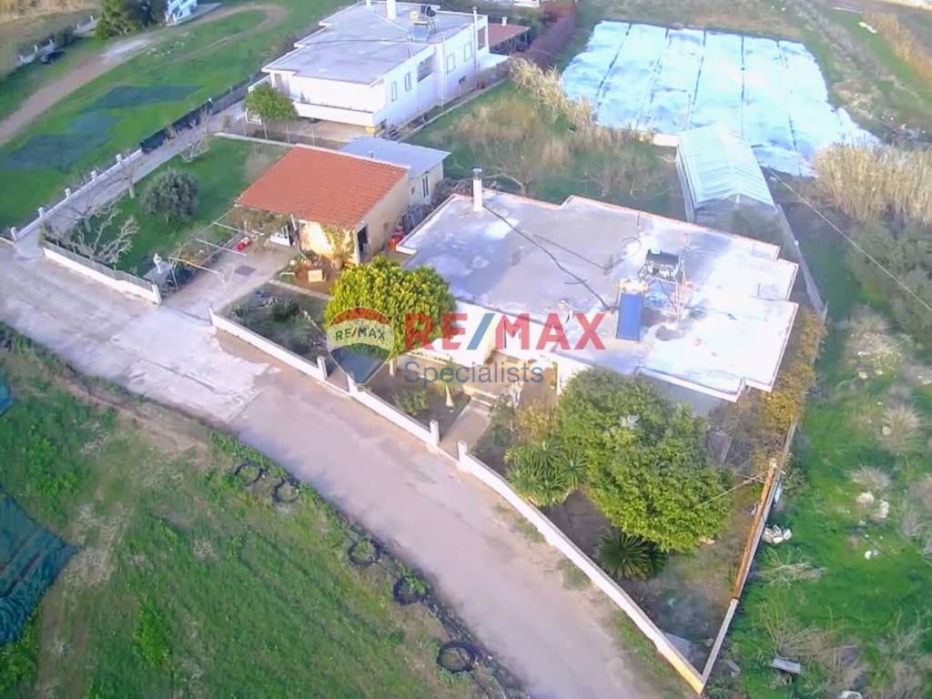 Εξωτερικοι χώροι