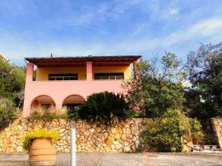 Detached - Grekodom 59310|1010159