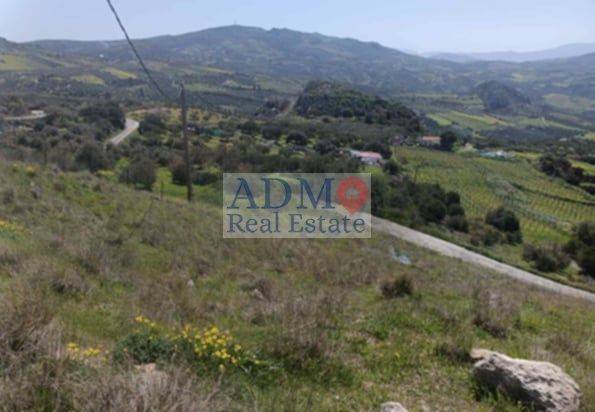 Εξωτερικοι χώροι