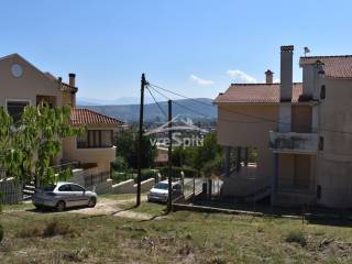 ΑΠΟΨΗ ΟΙΚΟΠΕΔΟΥ