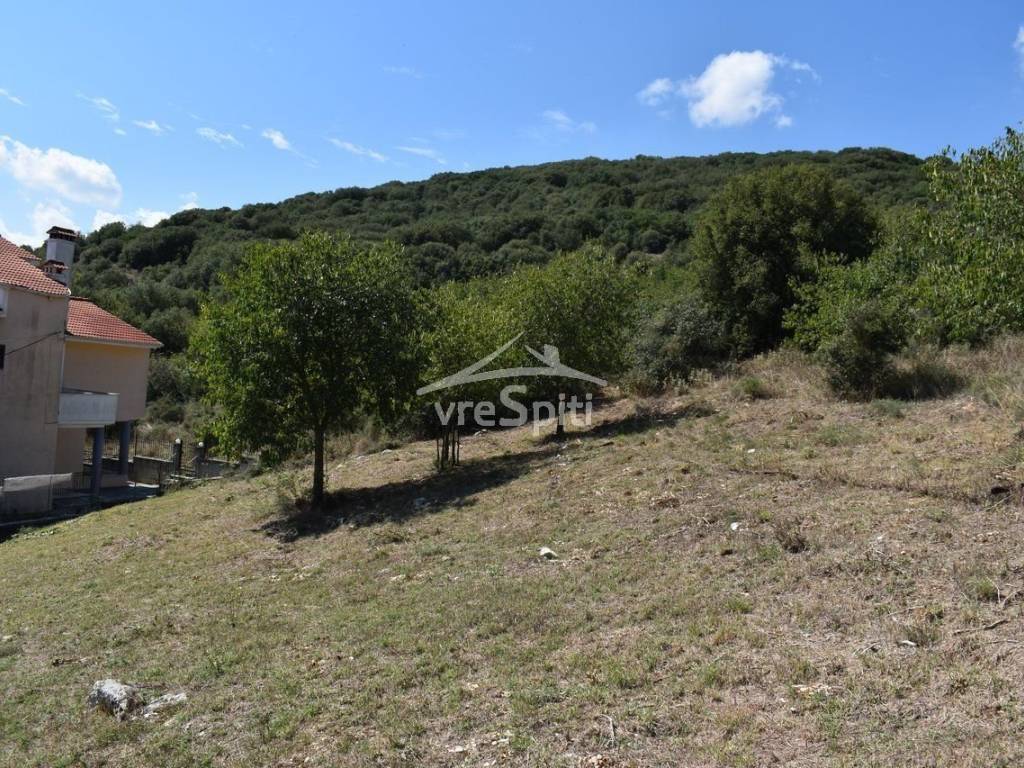 ΑΠΟΨΗ ΟΙΚΟΠΕΔΟΥ