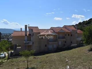 ΑΠΟΨΗ ΟΙΚΟΠΕΔΟΥ