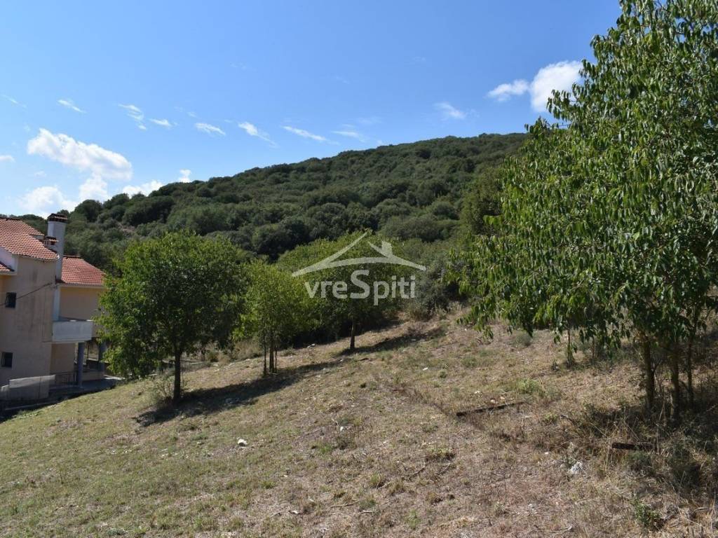 ΑΠΟΨΗ ΟΙΚΟΠΕΔΟΥ