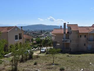 ΑΠΟΨΗ ΟΙΚΟΠΕΔΟΥ