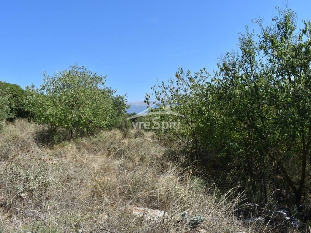 ΑΠΟΨΗ ΟΙΚΟΠΕΔΟΥ