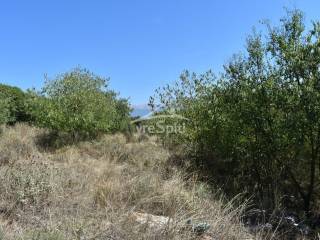 ΑΠΟΨΗ ΟΙΚΟΠΕΔΟΥ