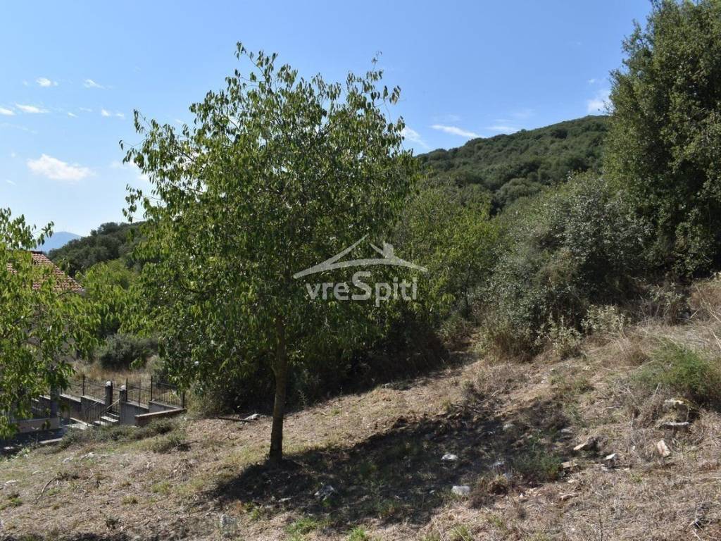 ΑΠΟΨΗ ΟΙΚΟΠΕΔΟΥ