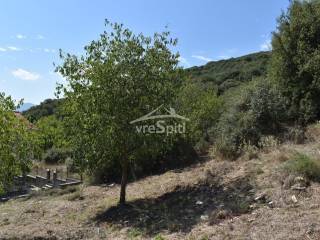 ΑΠΟΨΗ ΟΙΚΟΠΕΔΟΥ