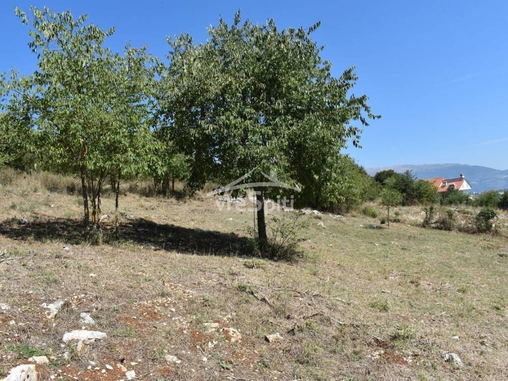 ΑΠΟΨΗ ΟΙΚΟΠΕΔΟΥ