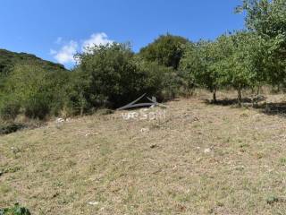 ΑΠΟΨΗ ΟΙΚΟΠΕΔΟΥ