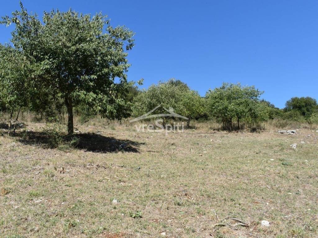 ΑΠΟΨΗ ΟΙΚΟΠΕΔΟΥ