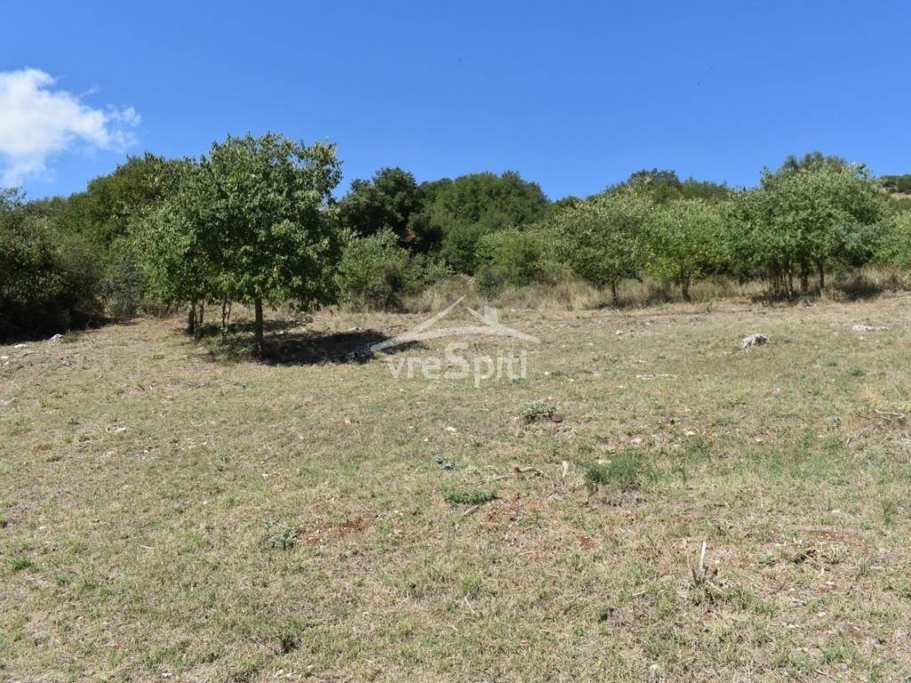 ΑΠΟΨΗ ΟΙΚΟΠΕΔΟΥ