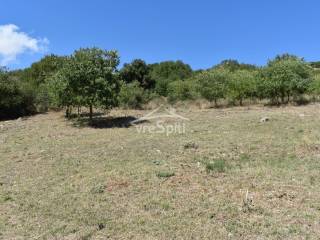 ΑΠΟΨΗ ΟΙΚΟΠΕΔΟΥ