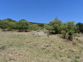 ΑΠΟΨΗ ΟΙΚΟΠΕΔΟΥ