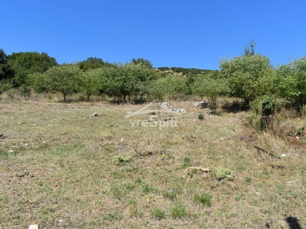 ΑΠΟΨΗ ΟΙΚΟΠΕΔΟΥ