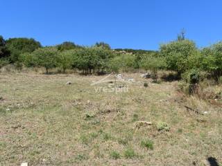 ΑΠΟΨΗ ΟΙΚΟΠΕΔΟΥ