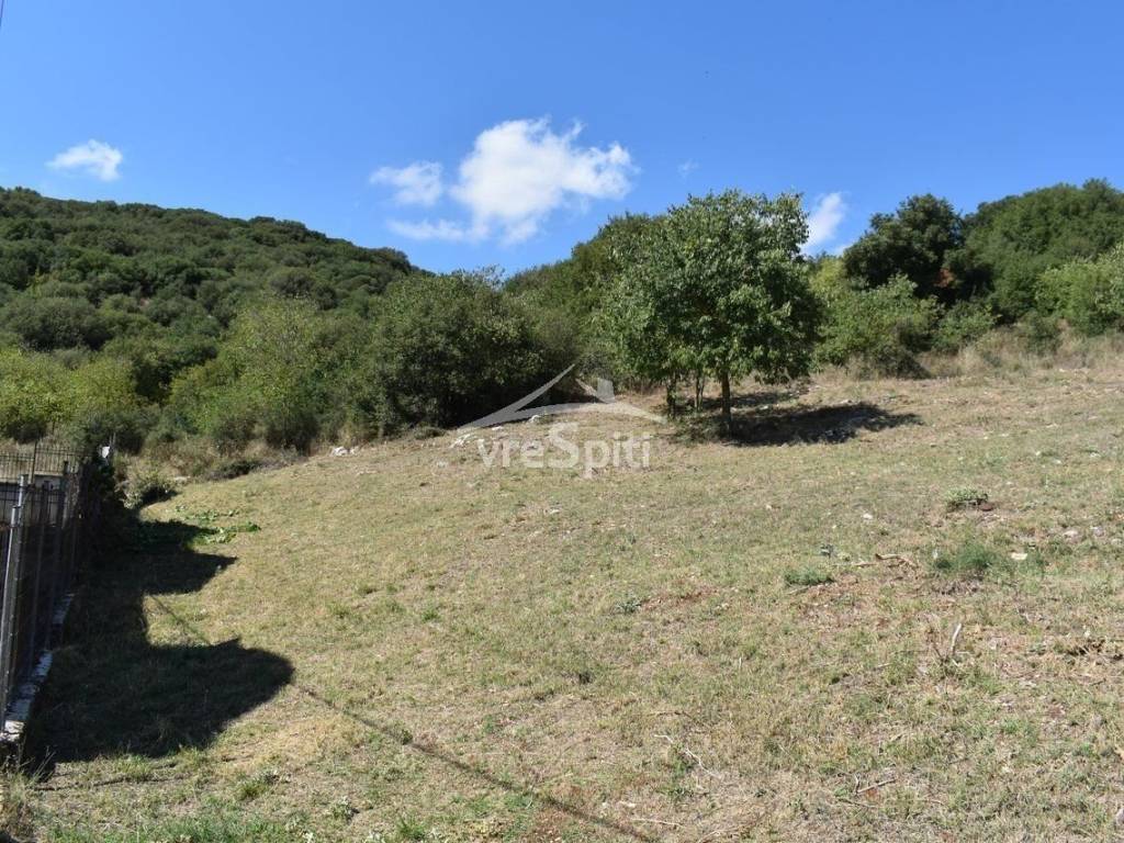 ΑΠΟΨΗ ΟΙΚΟΠΕΔΟΥ