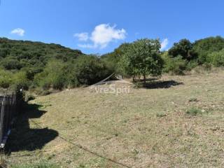 ΑΠΟΨΗ ΟΙΚΟΠΕΔΟΥ