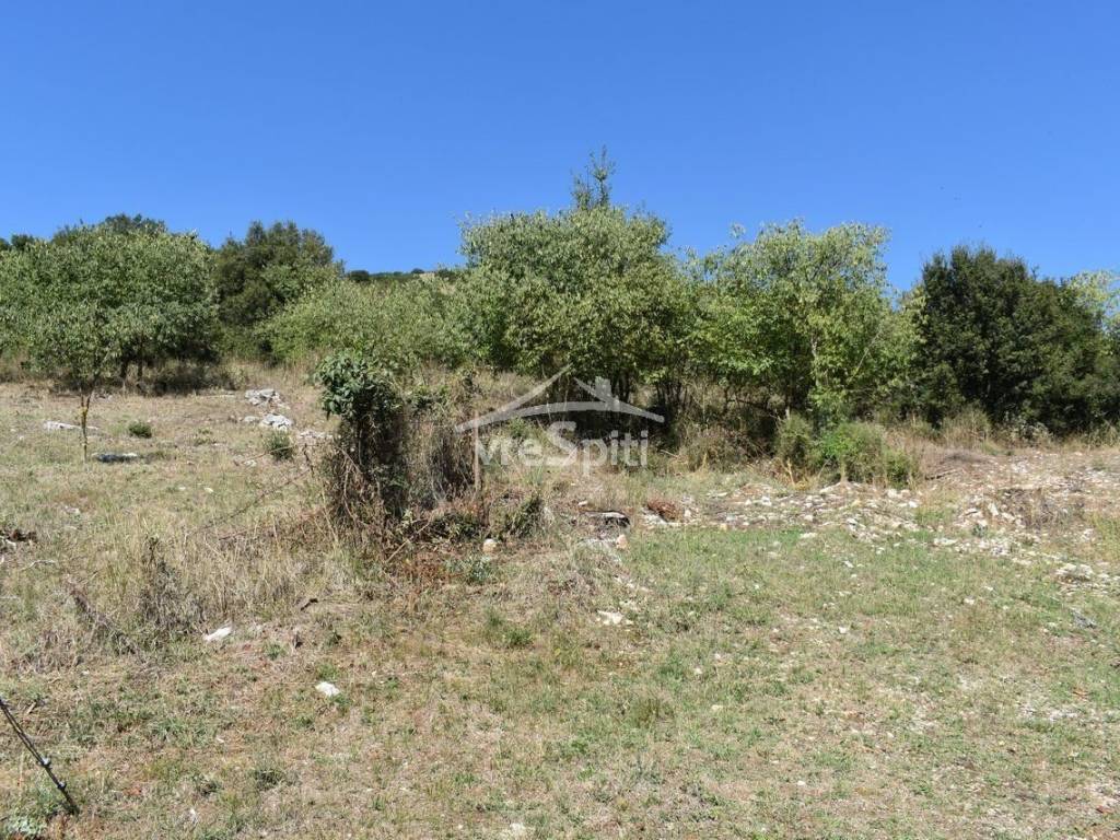 ΑΠΟΨΗ ΟΙΚΟΠΕΔΟΥ