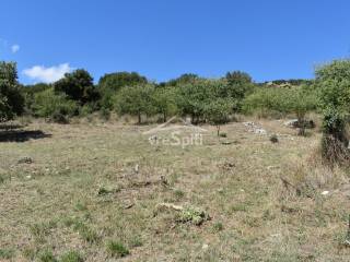 ΑΠΟΨΗ ΟΙΚΟΠΕΔΟΥ