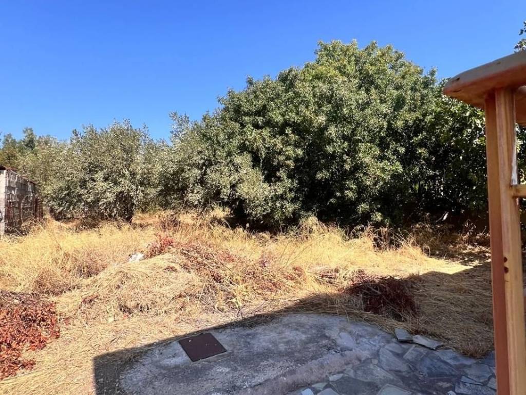 Πίσω μέρος του οικοπέδου