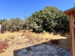 Πίσω μέρος του οικοπέδου