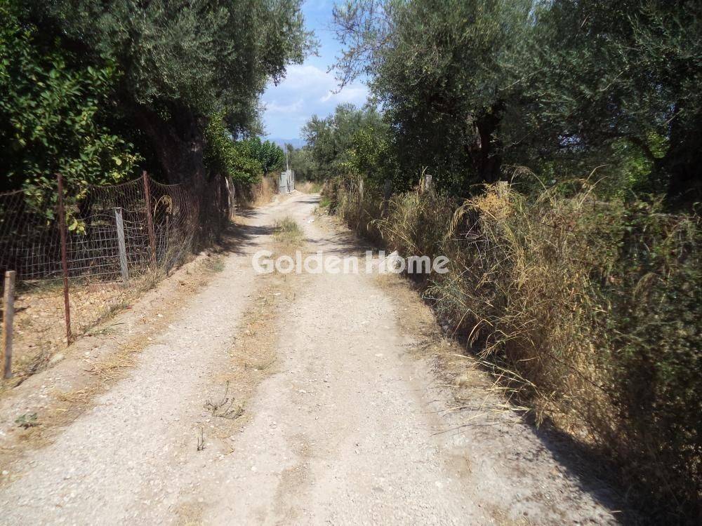 Εξωτερικός Χώρος